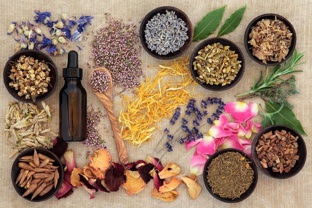 Top 5 Common Ailments Treated with Homeopathy