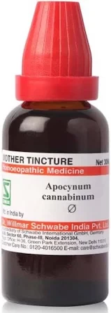 Apocynum