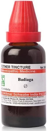 Badiaga