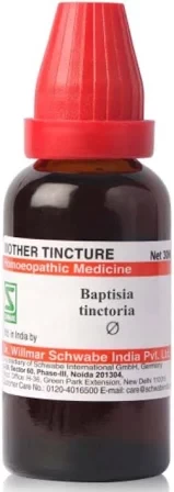 Baptisia