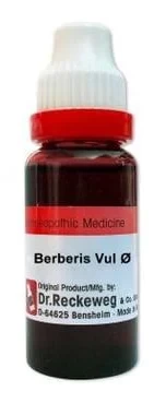 Berberis vulgaris