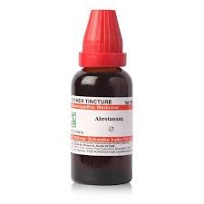 Abrotanum