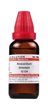 Anacardium