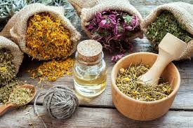 Homeopathy for Stress Relief in Today’s Busy World