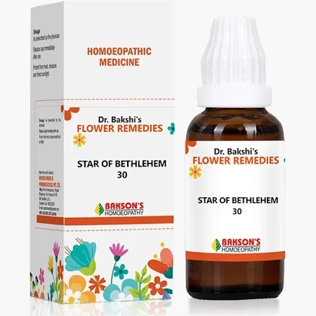 The Growing Popularity of Homeopathy in Everyday Wellness