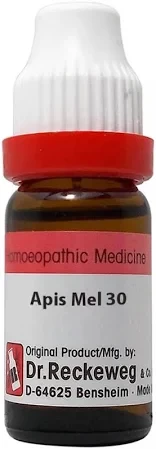 Apis mell
